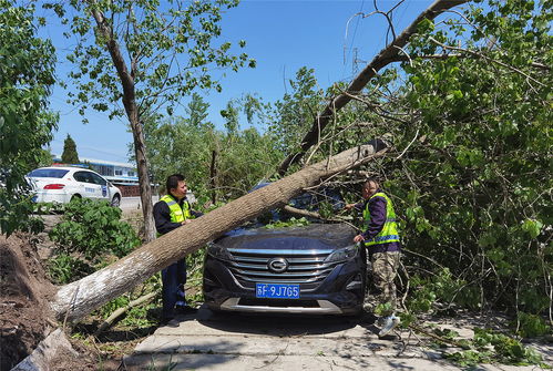 江蘇人保財險 貫徹羅熹董事長指示，全力推進4.30大災理賠與保險經紀業務協同發展